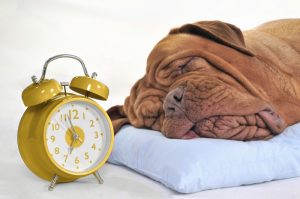 10 Lợi ích của Làm việc Tại nhà Hình ảnh 2