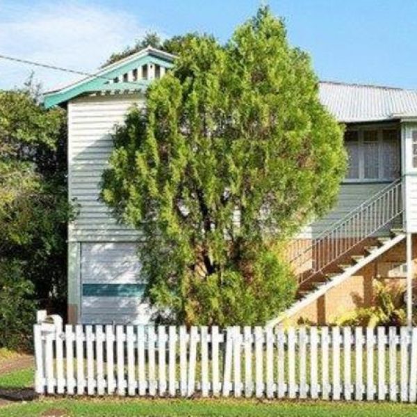 Xén thảm và sửa sang lại ngôi nhà nhỏ kiểu Queensland cũ kỹ này