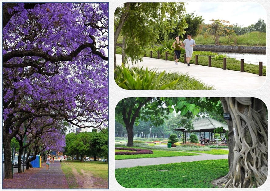 duong di bo tai du an tan phuoc khanh village - DỰ ÁN TÂN PHƯỚC KHÁNH VILLAGE TÂN UYÊN BÌNH DƯƠNG