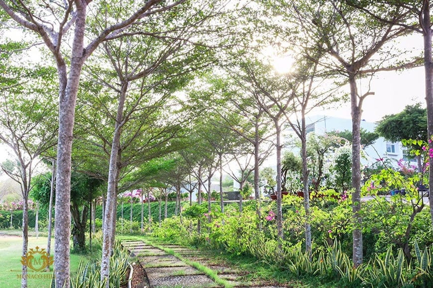duong hoa du an monaco hill mui ne - DỰ ÁN ĐẤT NỀN MONACO HILL MŨI NÉ PHAN THIẾT