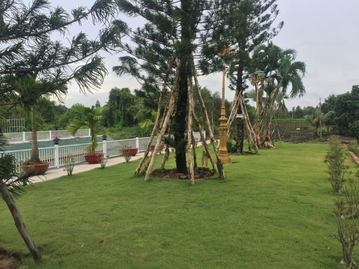cong vien cay xanh tai du an lucky garden - LUCKY GARDEN TỈNH LỘ 9 BÌNH MỸ CỦ CHI